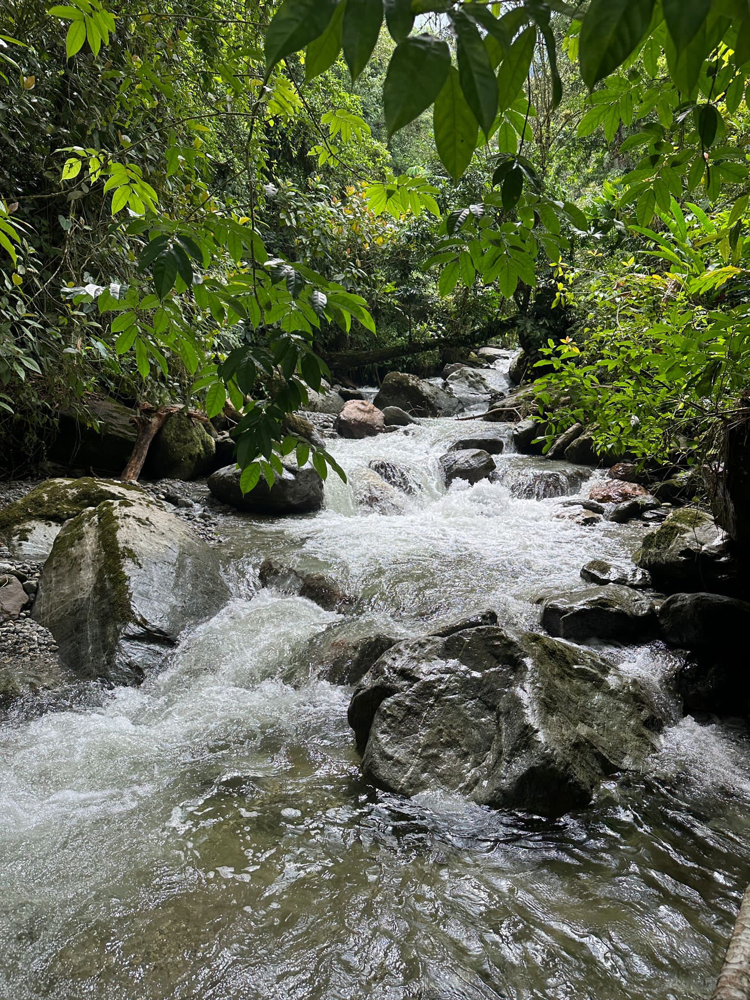 Guachaca river